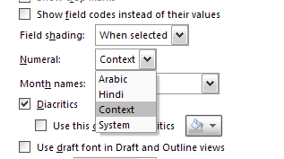word advanced options
